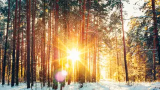 До 38 градусов мороза ожидается на севере Казахстана