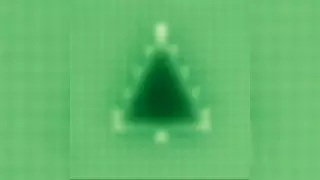 Самую маленькую рождественскую елку создали в Нидерландах