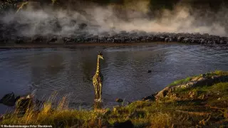 Красота в объективе: названы лучшие фотографии природы