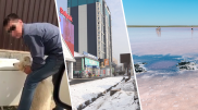 Насиловали собак и "убили" Кобейтуз. Экоскандалы Казахстана в 2020 году