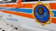 Новорожденного в критическом состоянии доставили санавиацией из Омска в Нур-Султан