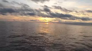 Россиянин в одиночку пересек Тихий океан, чтобы увидеть родных