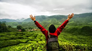 В Малайзии задумались об открытии границ для туристов