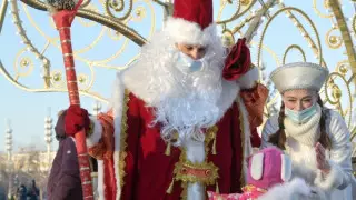 На вопрос о Деде Морозе и Снегурочке в новогоднюю ночь ответил Минздрав