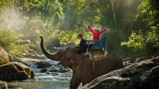 На Шри-Ланку вылетел новогодний чартерный рейс с туристами из Казахстана