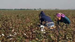 Алматинский мальчик два года пробыл в рабстве в Узбекистане