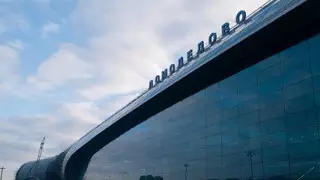 Два человека погибли при аварийной посадке самолета в "Домодедово"