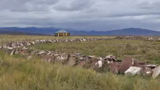 Ученые воссоздали облик скифов из кургана VII века до нашей эры
