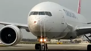 Вылетавший в Алматы самолет столкнулся со стаей птиц в Стамбуле