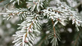 Какая погода ожидает казахстанцев 5 января