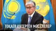 "Қазақ тілі, жер, ашаршылықты зерттеу". Тоқаев жаңа мақаласында қандай мәселелер көтерді?