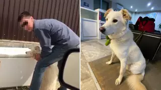 Министр кей қазақстандық неге жануарларға аяусыздық танытатынын айтты