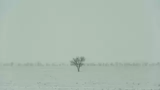 40-градусный мороз ожидается в Казахстане