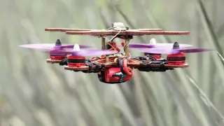 Дроны из отходов ананаса научились делать в Малайзии