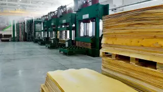 В СКО запустили новый комбинат