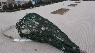 Главная елка Актау упала из-за сильного ветра