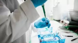 Коронавирус нашли у сотрудников избиркома Алматы перед выборами