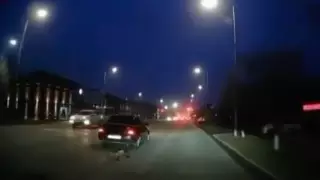 Водитель привязал собаку к авто и протащил по улицам Атырау