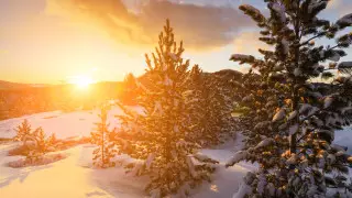 Тепло придет в Казахстан