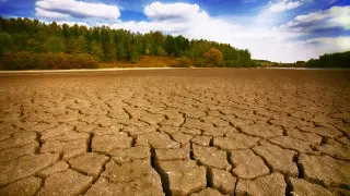 2020 год побил рекорд средней температуры