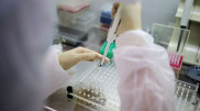 Две ПЦР-лаборатории в Алматы работают без разрешения