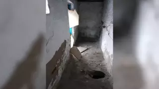 Уличный туалет на избирательном участке в Алматинской области обсуждает Казнет