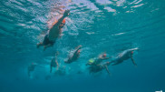 Регистрация на первый домашний Oceanman Kazakhstan открывается 17 января