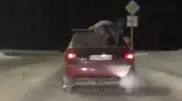 "Прокатил на крыше авто": Павлодарца наказали за необычную перевозку друга