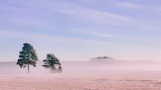 37-градусный мороз ожидается в Казахстане