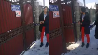 Хозяин дома под Алматы, где нашли трупы волков, вышел к журналистам