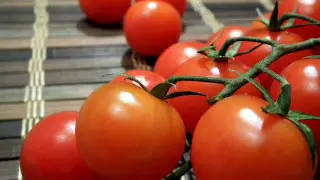 "Вирусы в казахстанских томатах". В МСХ ответили на заявления Россельхознадзора