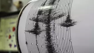 Жители Шымкента почувствовали землетрясение