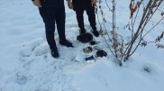 Серийный вор автозеркал задержан в Алматы