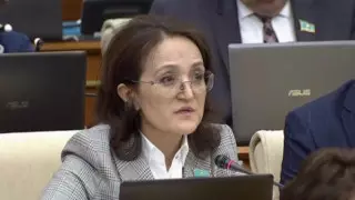 Законопроект о семейно-бытовом насилии можно отозвать - депутат Мажилиса