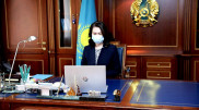Программа развития ООН оценила доступность госуслуг в Казахстане