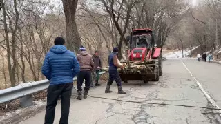 На вырубку деревьев по дороге на Кок-Тобе пожаловались алматинцы
