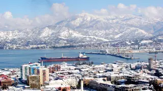 Грузия откроется для регулярных авиарейсов с 1 февраля