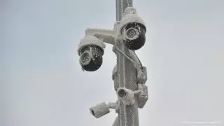 Сотрудницу полиции наказали на 5 миллионов тенге за списание штрафов с "Сергека"