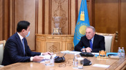 Кульгинов рассказал Назарбаеву о планах строительства в столице