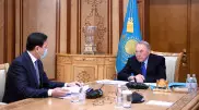 Кульгинов рассказал Назарбаеву о планах строительства в столице