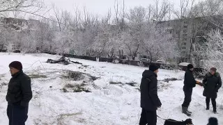 "Где депутаты?" Варварская вырубка деревьев возмутила карагандинцев