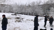 "Где депутаты?" Варварская вырубка деревьев возмутила карагандинцев