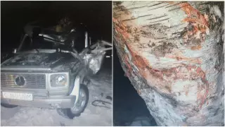 Появились подробности гибели лыжника Николая Чеботько