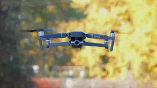 Автор вирусного видео с фламинго за 2 дня собрал деньги на "бесшумный" дрон