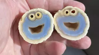 Камень, похожий на персонажа "Улицы Сезам", нашли в Бразилии