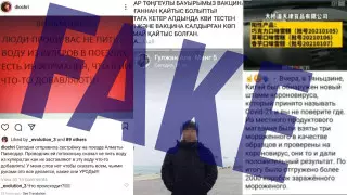 "COVID-21 вирусы пайда болды". Елді шошытқан жалған ақпараттар