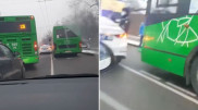 Водитель автобуса насмерть сбил алматинку
