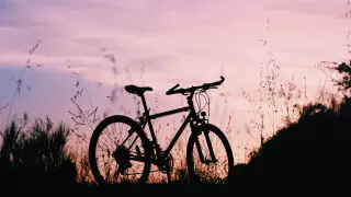 Россиянина задержали в Павлодаре за угон велосипеда 12-летней давности