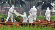 ВОЗ предупредила об угрозе новой пандемии из-за вируса Nipah
