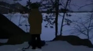 Стаю волков сняли на видео в Боровом